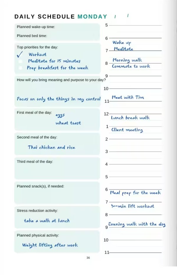 A filled-in Daily Schedule page with an hour-by-hour timeline, top priorities, and meals